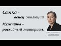 Самка Сообразительная. Венец эволюции Екатерины Шульман