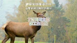 [小葉老師 | 教你不精分 | 賺錢] 返回工作職場最務實的建議