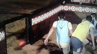 Survivor 2018 19.Bölüm Ödül All Starın