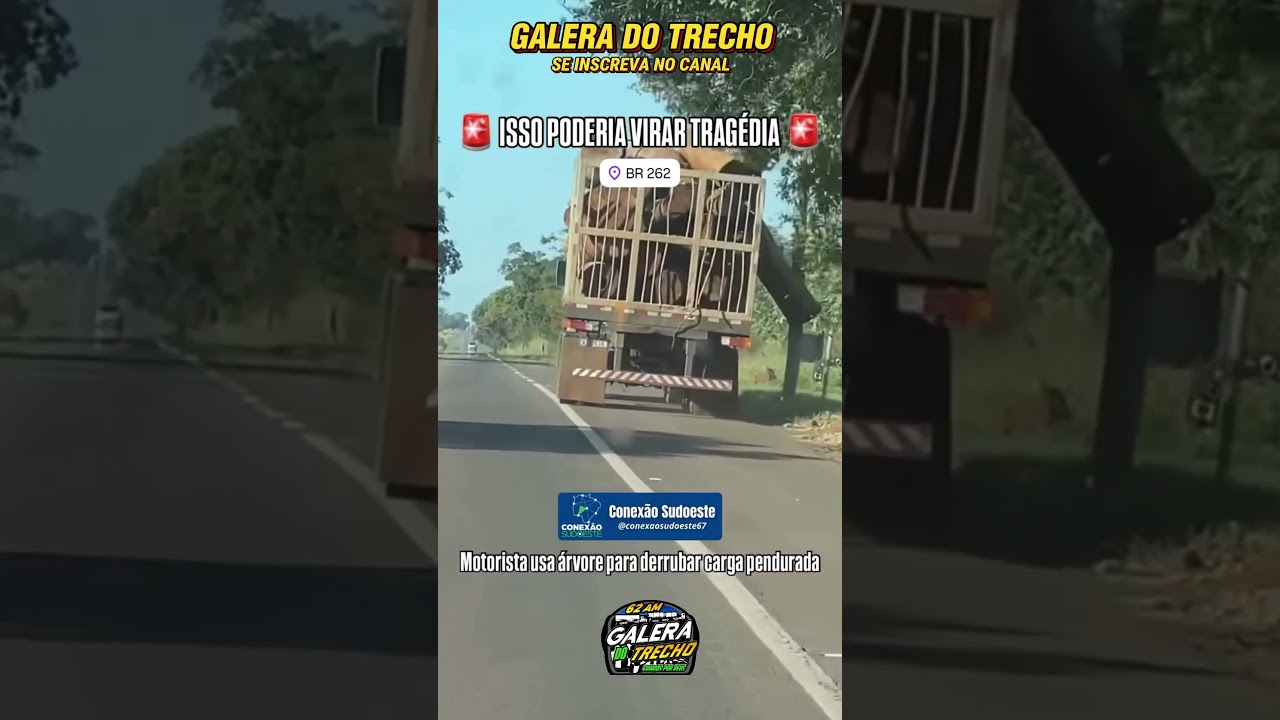 Tudo friamente calculado 👏