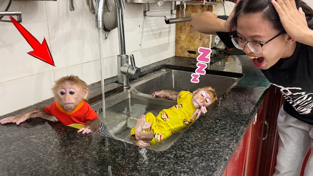 While washing dishes, Lucky ended up washing herself and Sunny too