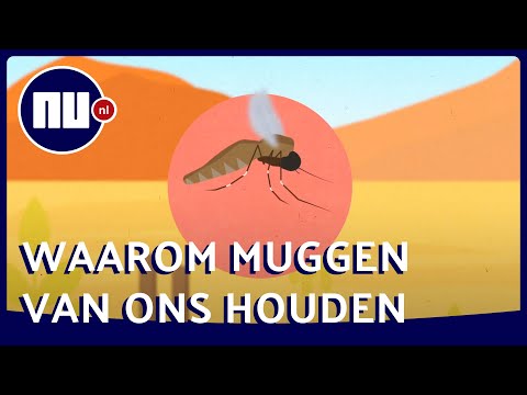 Video: Waarom De Luidsprekers Zoemen?