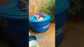 Tour Pela Minha Casa