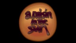 Celebrity Raisin In The Sun (1989) | Danny Glover Esther Rolle | Directed by Bill Duke Net Worth