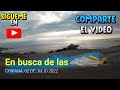 pesca en iquique,En busca de las corvina, fishing spinning, lenguado pesca