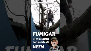 FUMIGAR con ACEITE DE NEEM en invierno. #short, #shortsyoutube