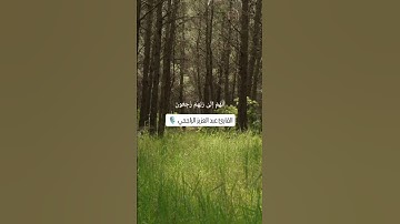 ﴿ إِنَّ الَّذِينَ هُمْ مِنْ خَشْيَةِ رَبِّهِمْ مُشْفِقُونَ ﴾ | القارئ عبد العزيز الراجحي