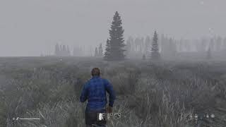 Выживание на острове, экстремальные погодные условия Dayz | Namalsk