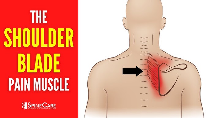 Best exercises for pain between shoulder blades.