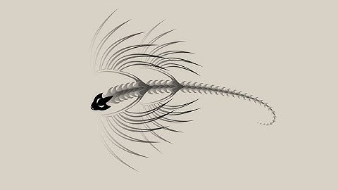 🔥 Create an EPIC Dragon Animation with HTML, CSS & JAVASCRIPT