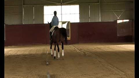 EP#15 - How to achieve Travers and Half-Pass Movements