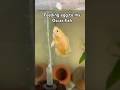Best food for Oscar fish growth #viralvideo #shorts #ytshorts