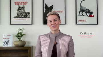 Ask the Royal Canin UAE Vet: Mix Feeding
