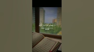قران كريم راحه نفسيه #اكسبلور #حالات_واتس #المصحف #دويتو #راحة_نفسية #التغطيه #قران_كريم #لايك