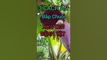 3 Cách Ăn Bắp Chuối Xua Tan Bệnh Tật #dinhduong #health #suckhoe