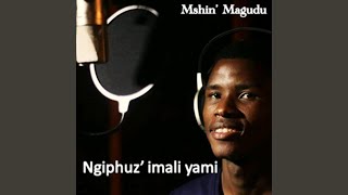 Ngiphuz'imali Yami