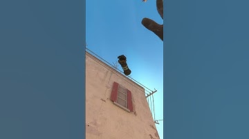 How to Hold A Short on Dust 2 as a CT #cs2 #csgo #counterstrike #dust2