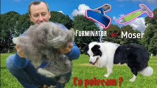 Border Collie. Czesanie sierści.Pielęgnacja futra.Furminator vs Moser. #monio #bordercollie #funydog