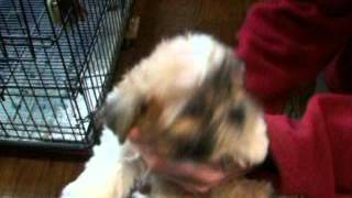 raylee02192016m1m2f3f4 on 4 4 2016