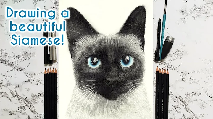 Watch the video about Etsy Pet Drawing of a Siamese // Time Lapse Art