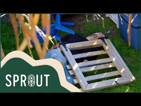 Video: Cornișii sunt un deliciu crocant din grădină
