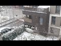 صباح باللون الابيض ❄❄❄سقوط الثلج منظر رووعه ❄☃️☃️☃️☃️