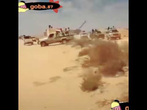 اتحاد قبائل سيناء قبيلة الرميلات قبيلة الترابين قبيلة السواركة