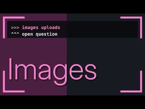 Wordpress: How to get attachements URL from author meta and display them?