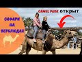 КИПР влог: парк 🐫 открыт!  Camel park в Mazotos! Девчонкам и мальчишкам, а также их родителям!