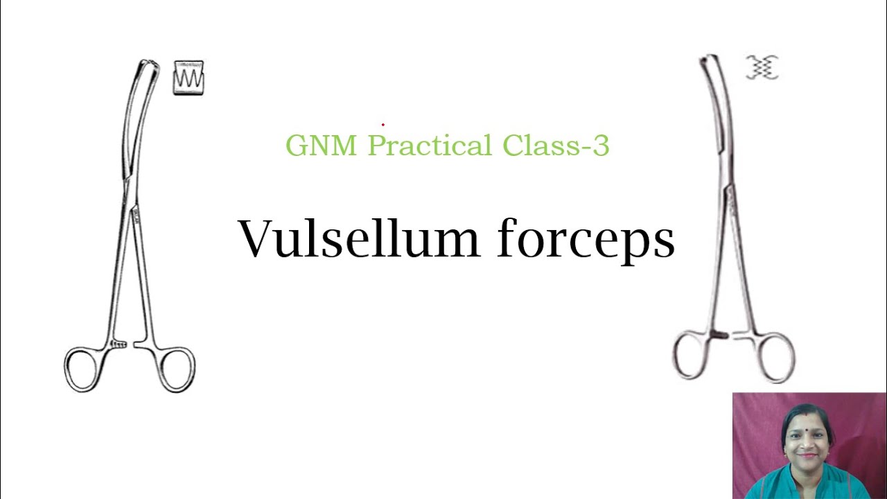 GNM Practical Class 3: Vulsellum forceps - YouTube