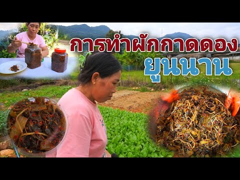 ผลสลากกินแบ่งรัฐบาล วันที่ 1 พย. 2567