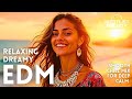 Horizon Chill EDM 2026 🎧 Smooth Relaxing Beats for Focus, Balance &amp; Peace