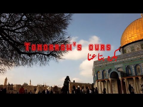       سويسي و حميد بكرا بتاعنا   
