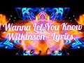 I Wanna Let You Know Wilkinson Lyrics mp3