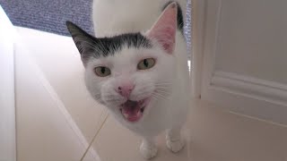 Every. Darn. Day. (For Weeks)