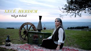 XECÊ HERDEM–Rêya Evîne Resimi