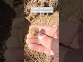 Metal Detecting Uk Wales