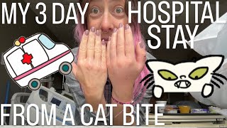 A Cat Bite Sent Me To The Hospital For 3 Days: My Story and Hospital Stay