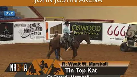 NRCHA Awards - Judy Fortenberry