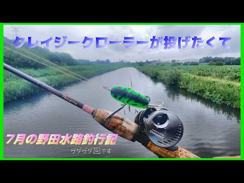 孤独の釣り人 (Lonely Angler Channel) - YouTube