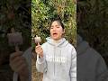 Đổi Kem Lấy Pháo