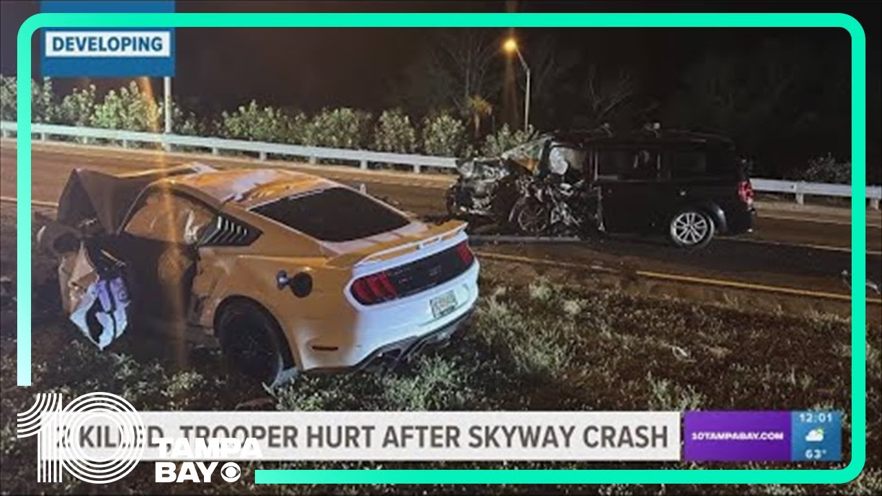 Uber driver and passenger killed in head-on crash on Skyway Bridge ...