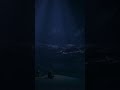 Pretty Sure These Whales Exist!!!