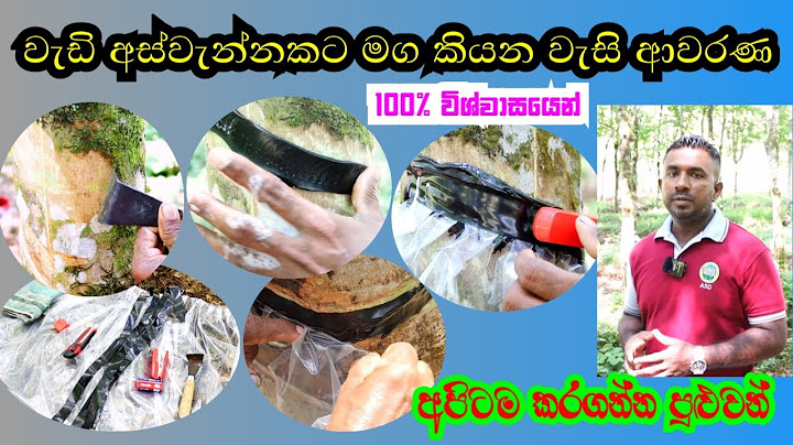 රබර් වගාව සඳහා වැසි ආවරණ සවිකිරීම Application of Rain Guards for Rubber Cultivation