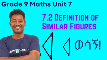 Grade 9 Maths Unit 7:7.2 Definition of Similar Figures | Saquama