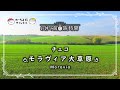 【癒し旅】チェコ・モラヴィア大草原:お休み前の旅時間(安眠旅行)/Moravia、Czech Republic