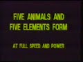 Five Animals and five elements hung gar form by David Lee