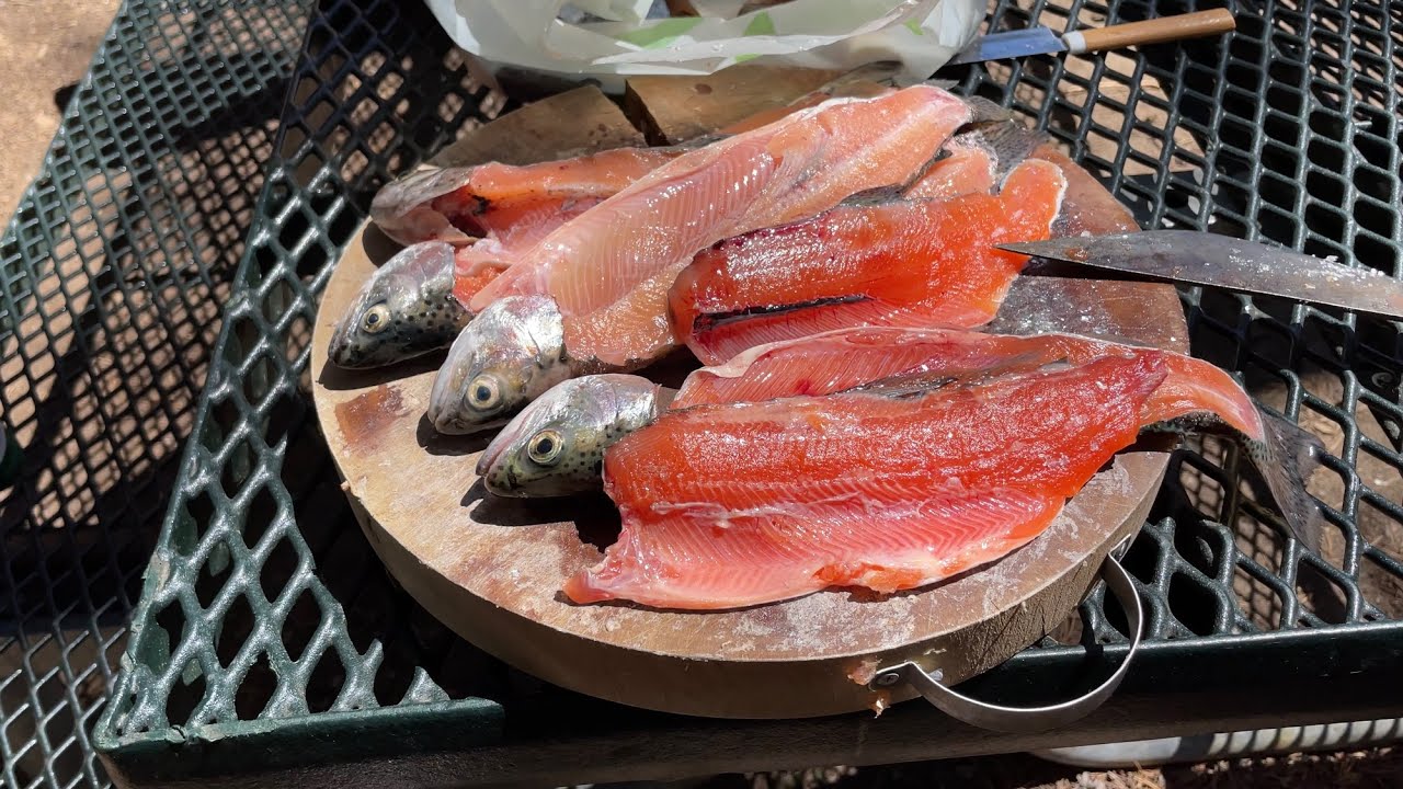 Trout fishing Courtright Reservoir YouTube