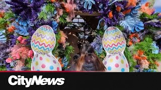 Families celebrate Easter weekend activities