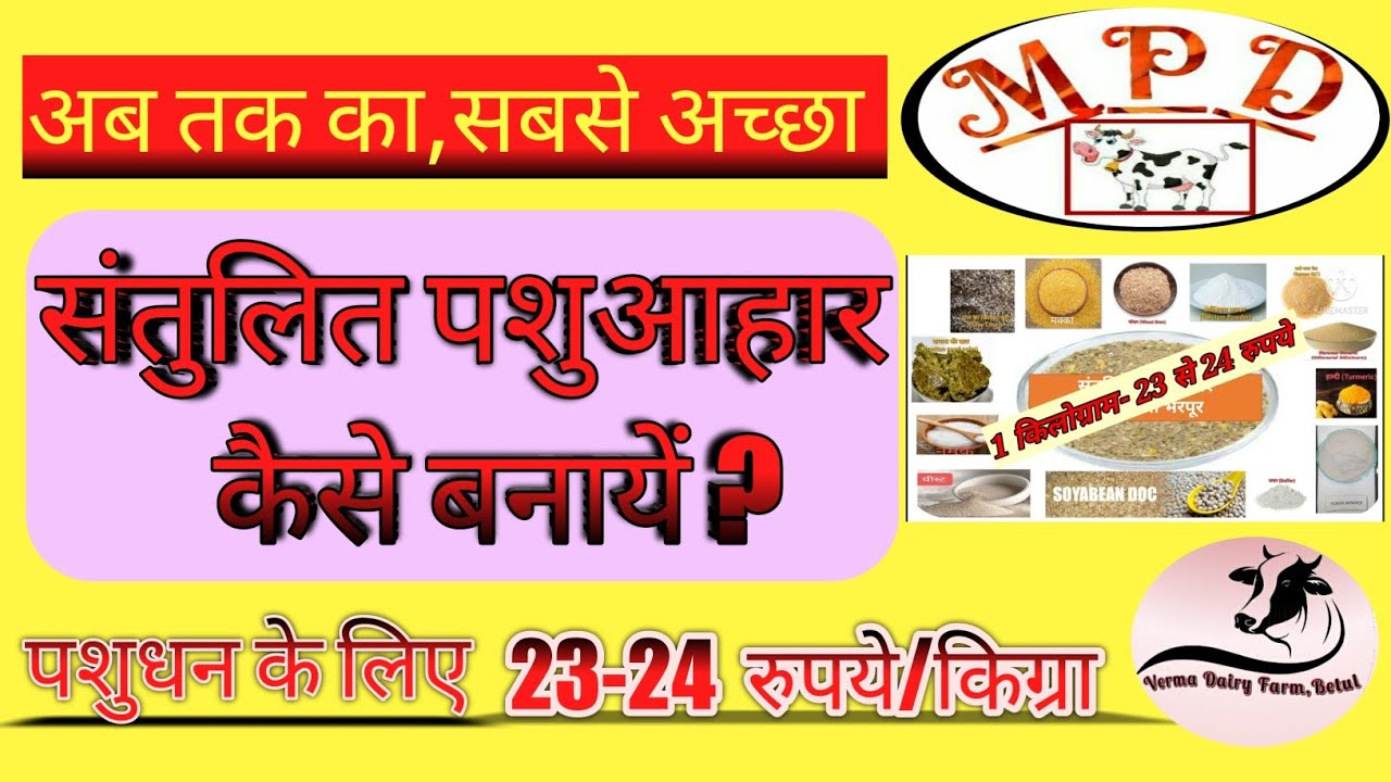 Cow Feed Formulaसंतुलित पशुआहार घर पर कैसे बनाये? YouTube